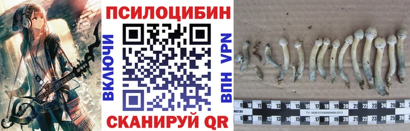 Галлюциногенные грибы Cubensis  Перевоз 